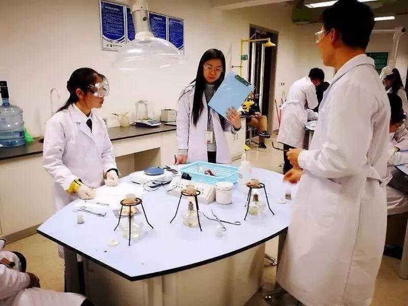 北京市私立汇佳学校