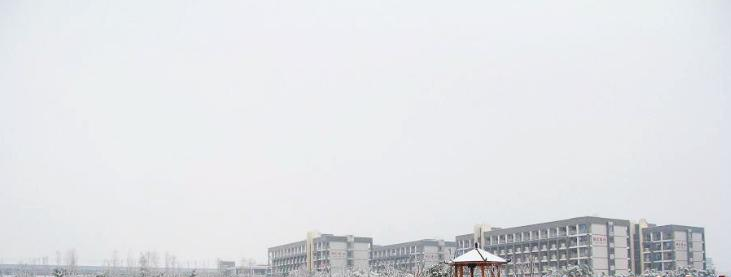 安徽国际商务职业学院2019年单招录取分数线