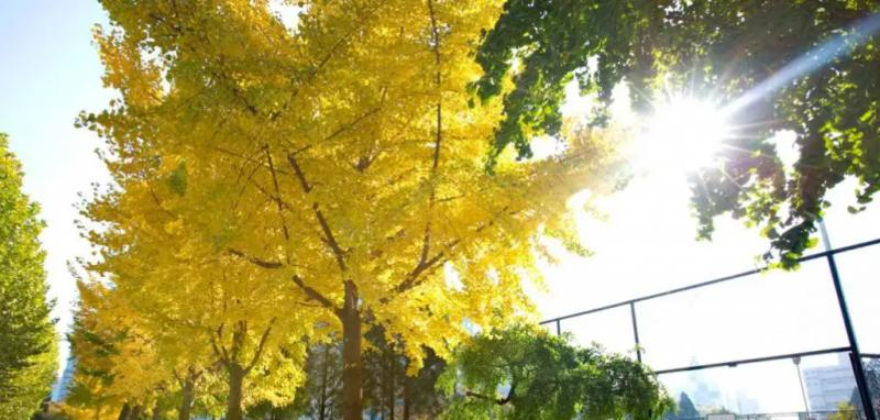 北京二十一世纪国际学校怎么样