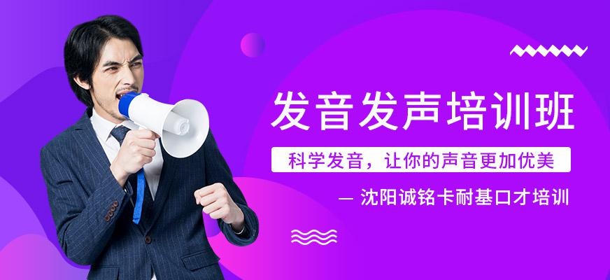 沈阳发声培训