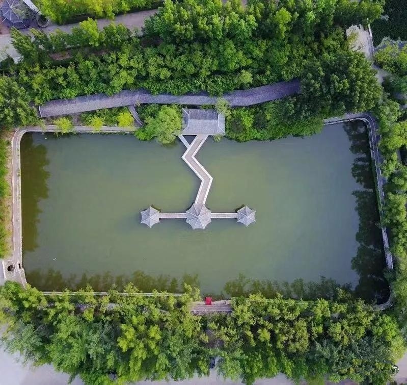 橘郡美高国际学校