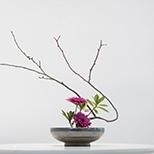 景观设计班
