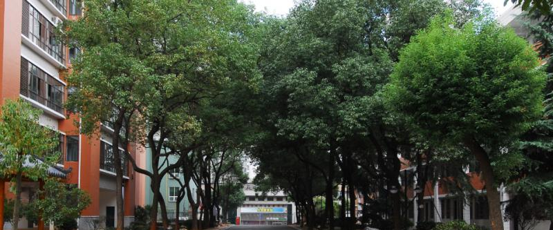 长沙十五中国际部2020年招生计划