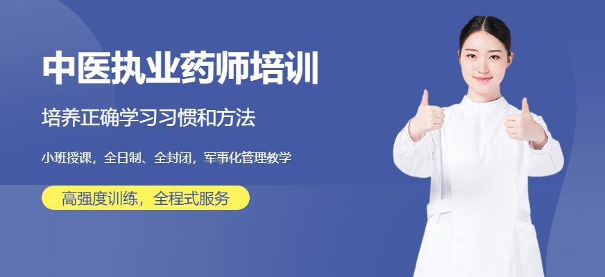 中医执业药师培训