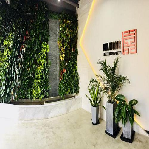 北京艺考培训学校排名