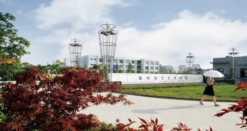 南京视觉艺术职业学院2020年有哪些专业
