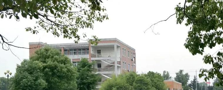 2023南京市板桥中学招生简章