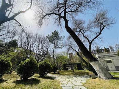 北外留学基地留学预科