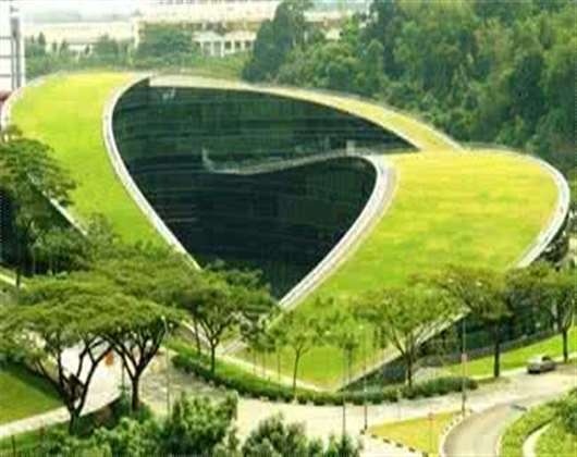 南洋理工大学