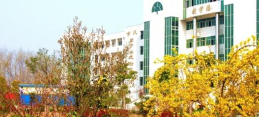 宿州职业技术学院网站