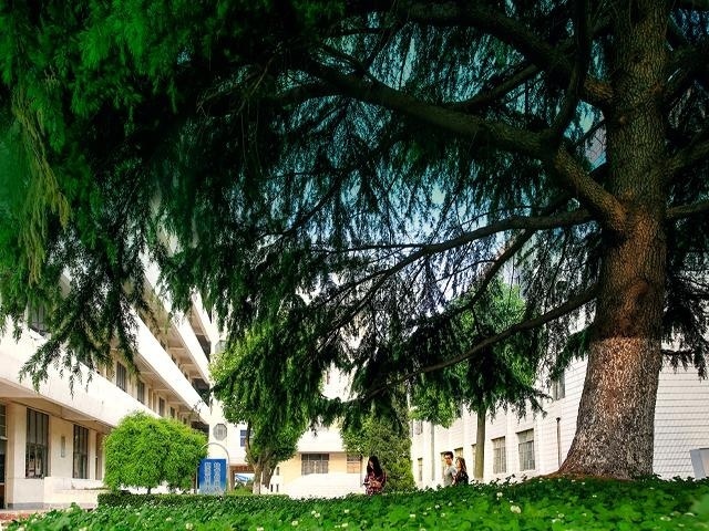 校园景色