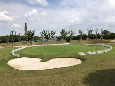 剑桥文理与剑桥艺术学校