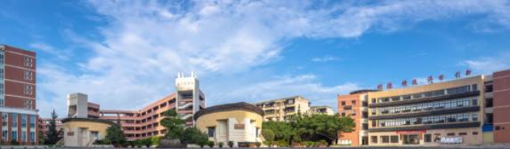 2023四川护理职业学院单独招生录取分数线