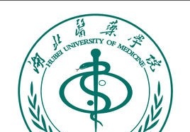 湖北医药学院