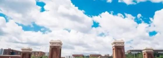 东北大学