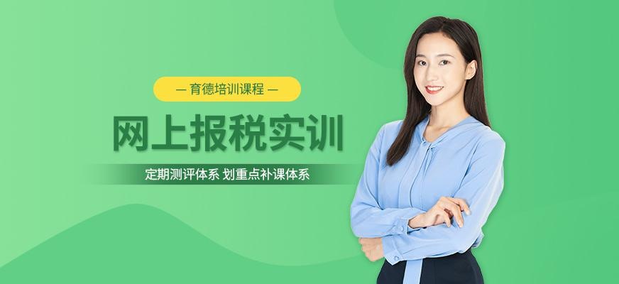 会计网上报税培训配图