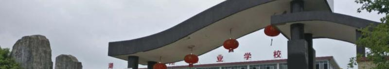 湖南龙翔中等职业技术学校