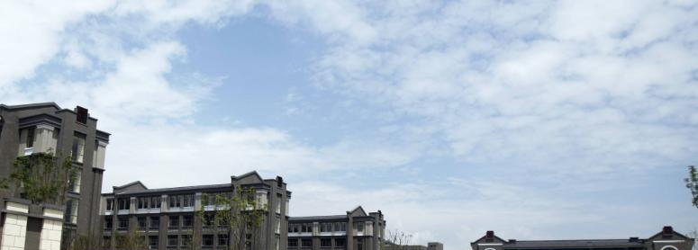 西昌天立国际学校小学部网站