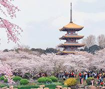 日语N2级