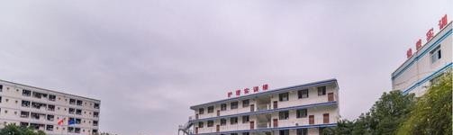 2021年学费、收费多少