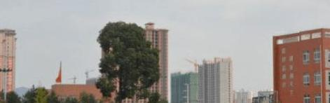 绥阳中等职业学校