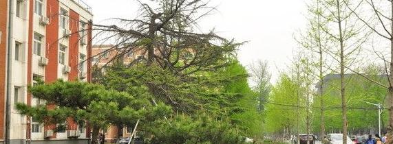 郑州青年职业中等专业学校2021年报名条件、招生要求