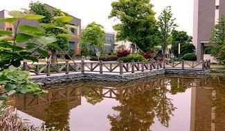 宁波滨海国际合作学校