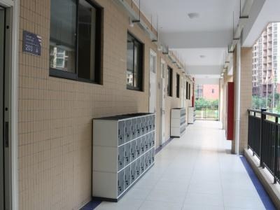 北京力迈中美（国际）学校海南校区