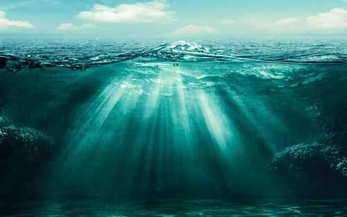  如何提高小学生的独立自主能力