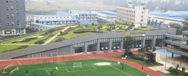 成都协同国际学校初中部