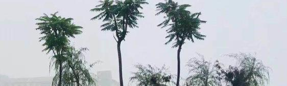 甘肃艺术设计学校