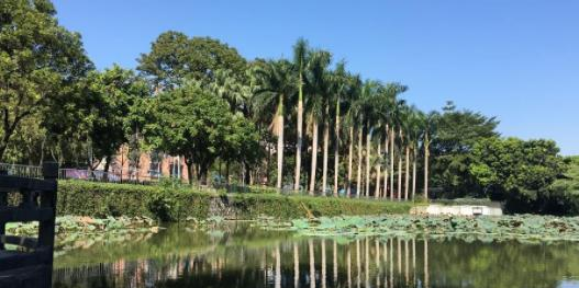 广东省电子商务技师学院2020年宿舍条件