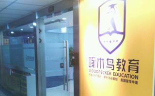 成都啄木鸟教育