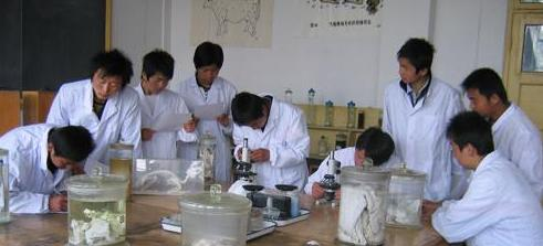 临夏农业学校