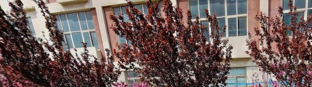 青岛市石化高级技工学校