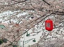 口语会话