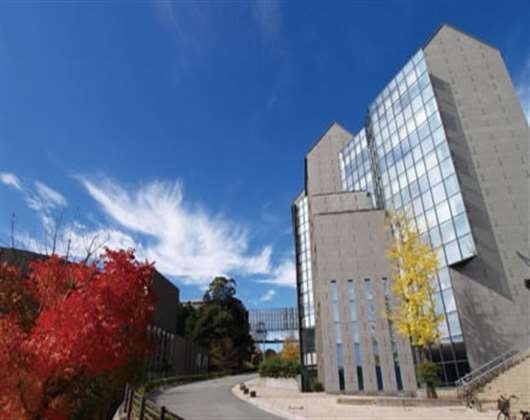 山口县立大学
