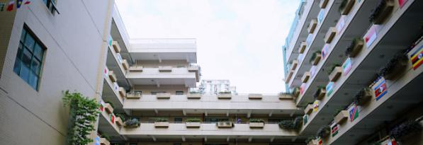 深圳国际交流学院网站