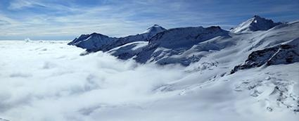  强大的实习网络