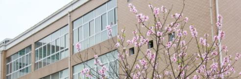 丽水职业高级中学