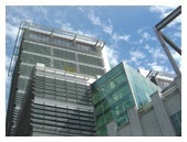 马山大学