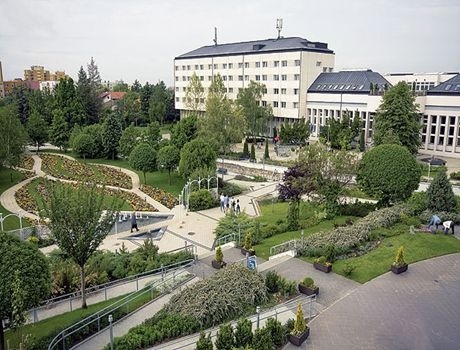 卡洛里罗伯特学院