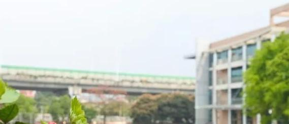广州南海中学2021年招生计划
