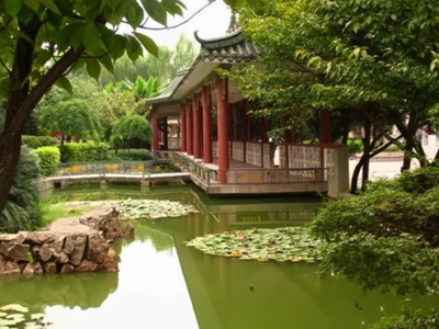 武钢三中国际部学校景色