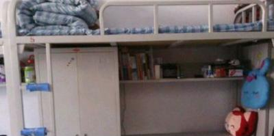 截图_20211102134219