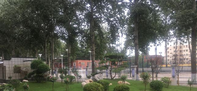 鹤壁科技中等专业学校