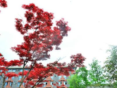 学校环境