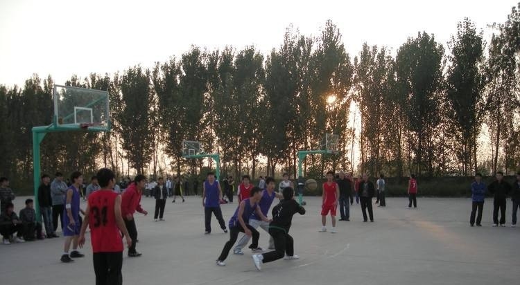 郑州工业安全职业学院单招成绩查询时间