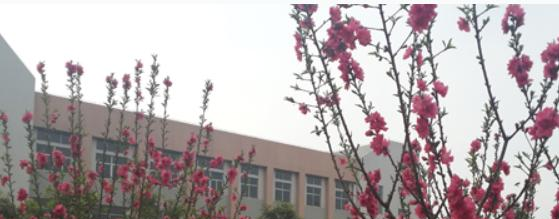 揭阳捷和职业技术学校