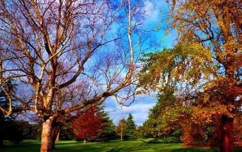 如何处理负面情绪